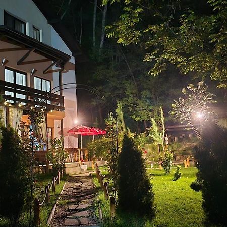 Pensiunea Lui Calin Ocnele Mari Ngoại thất bức ảnh